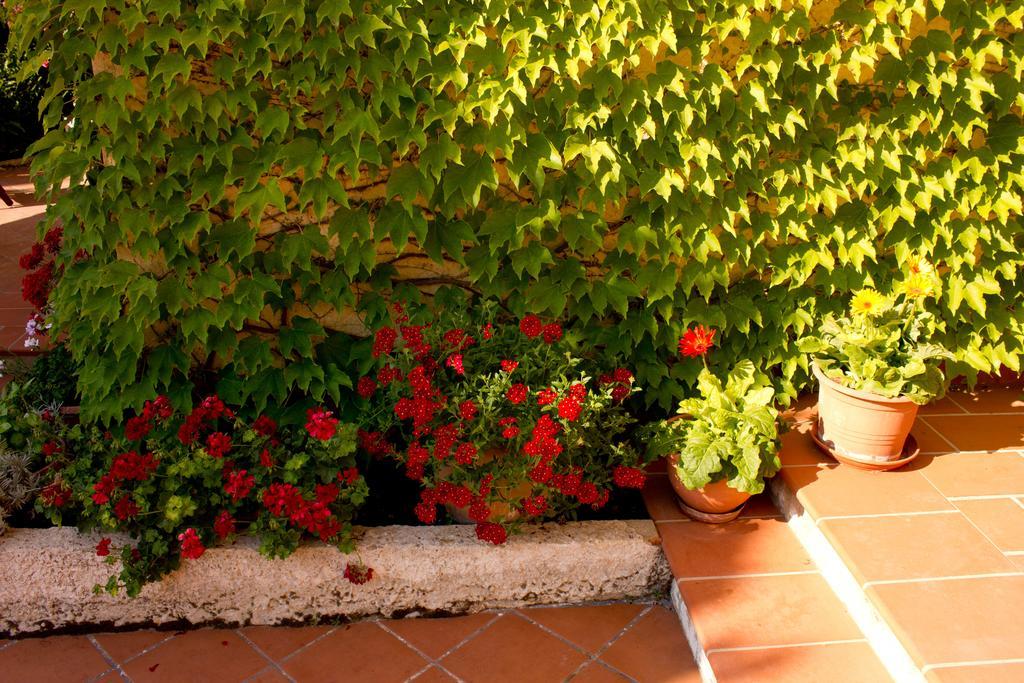 Casa Del Falso Pepe - Scala Dei Turchi Realmonte Bagian luar foto
